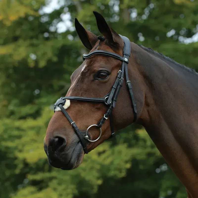 Collegiate ComFiTec Grackle Bridle in Black