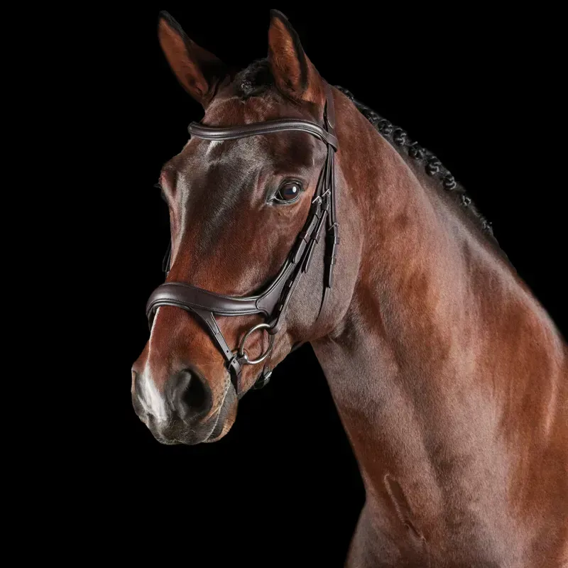 Collegiate ComFiTec Vogue Anatomical Bridle in Brown