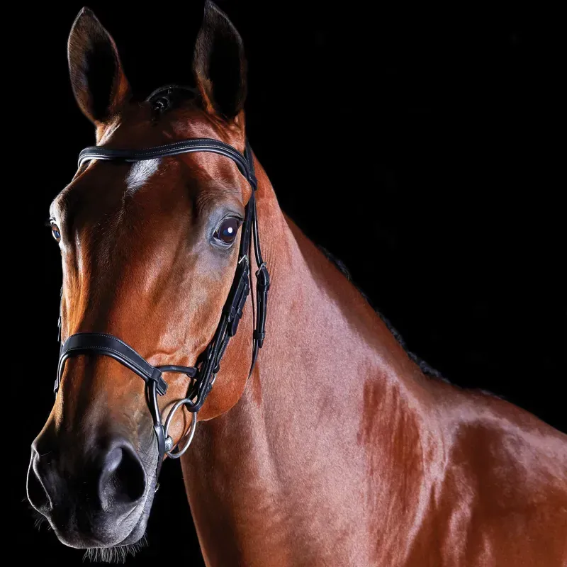 Collegiate ComFiTec Training Bridle in Black-2