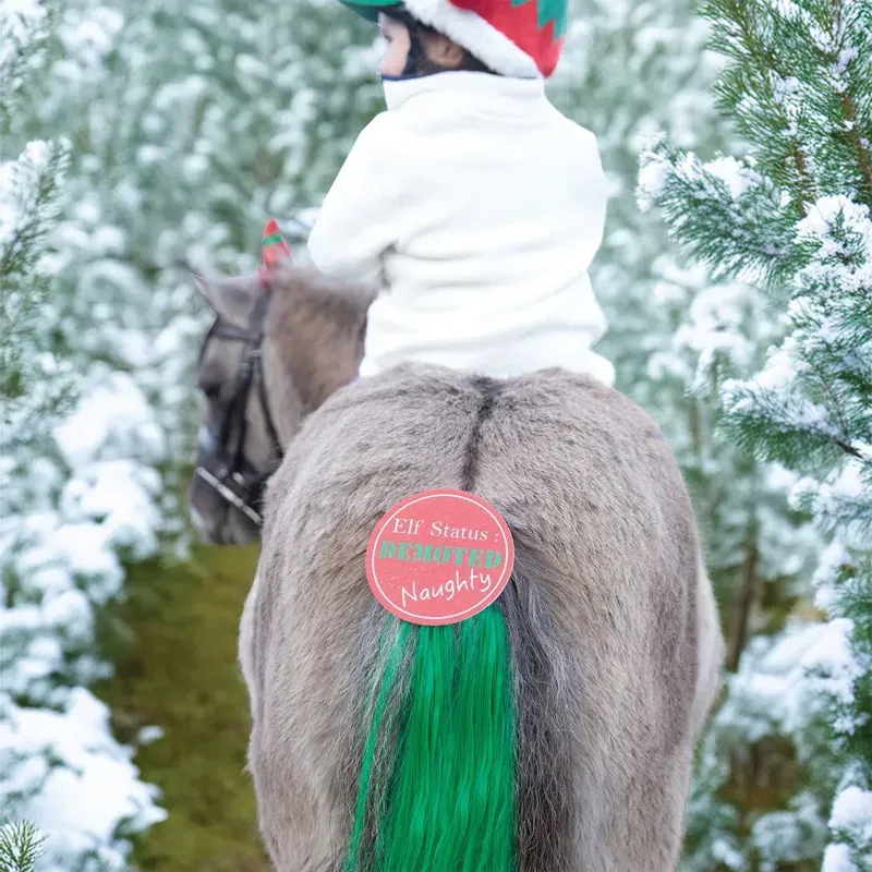 Equetech Cheeky Elf Horse Ear Bonnet - Pony-1