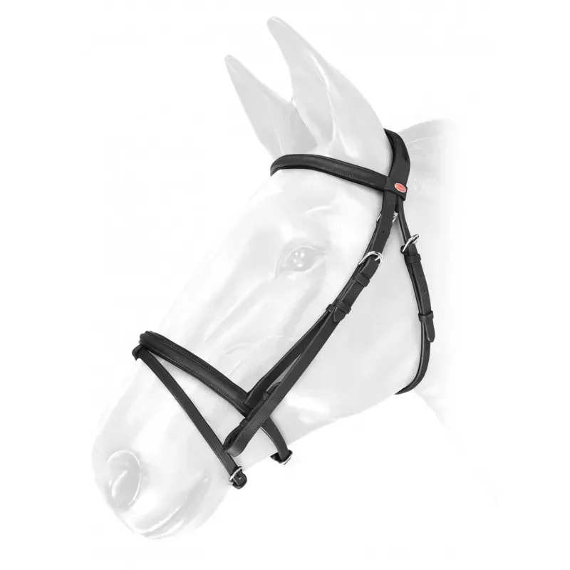 Whitaker BR054 Ready To Ride Leather Flash Bridle - Black