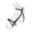 Whitaker BR054 Ready To Ride Leather Flash Bridle - Black