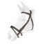 Whitaker BR054 Ready To Ride Leather Flash Bridle - Havana