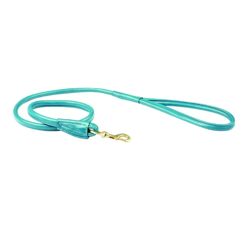 WeatherBeeta Medium Rolled Leather Dog Lead in Teal