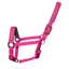 Woof Wear Contour Headcollar - Berry
