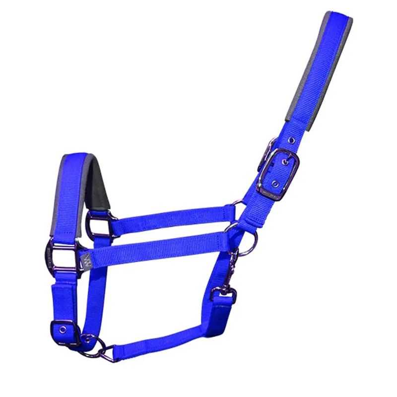 Woof Wear Contour Headcollar - Electric Blue