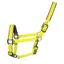 Woof Wear Contour Headcollar - Sunshine Yellow
