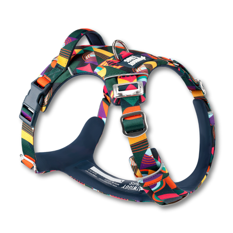 Twiggy Tags Adventure Harness 2.0  - Aurora