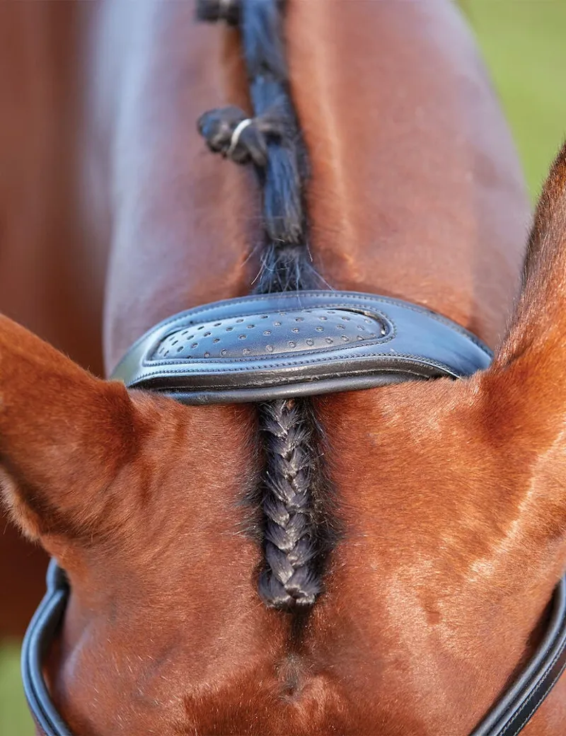 Collegiate ComFiTec Training Bridle in Black-1