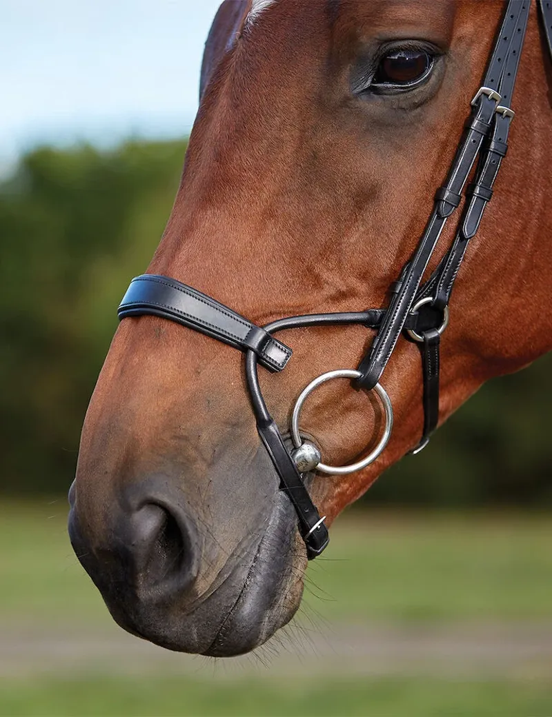 Collegiate ComFiTec Training Bridle in Black