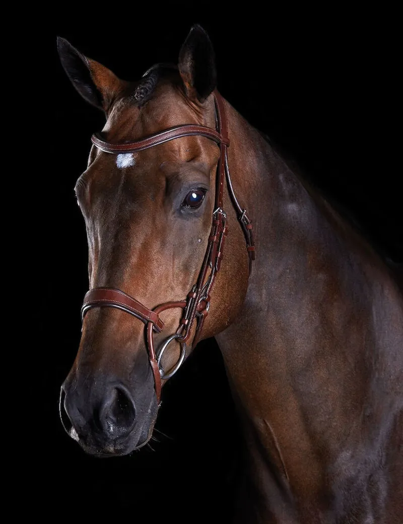 Collegiate ComFiTec Training Bridle - Brown