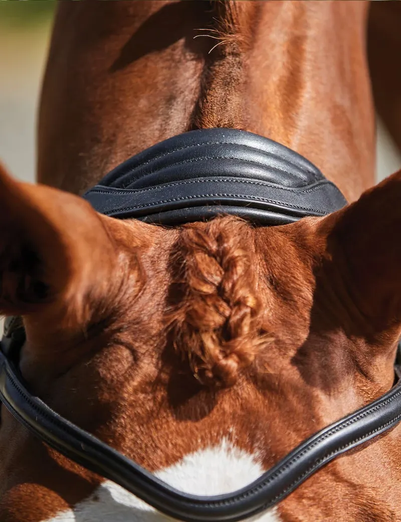 Collegiate ComFiTec Grackle Bridle in Black-2
