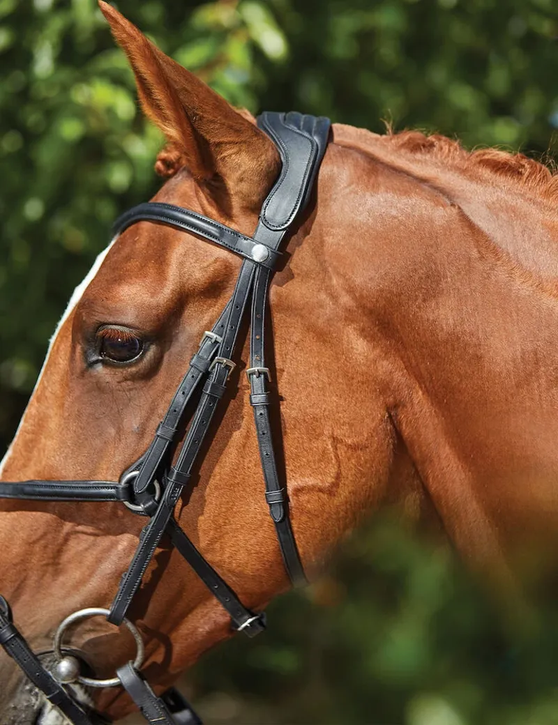 Collegiate ComFiTec Grackle Bridle in Black-1