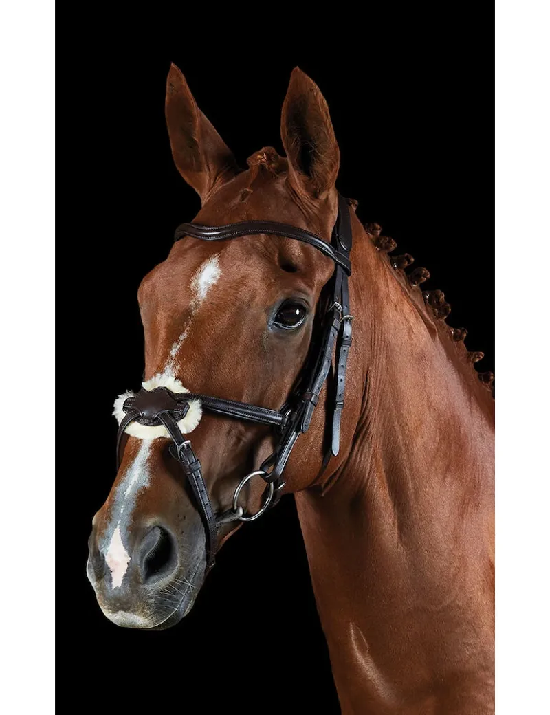 Collegiate ComFiTec Grackle Bridle - Brown