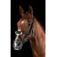 Collegiate ComFiTec Grackle Bridle - Brown