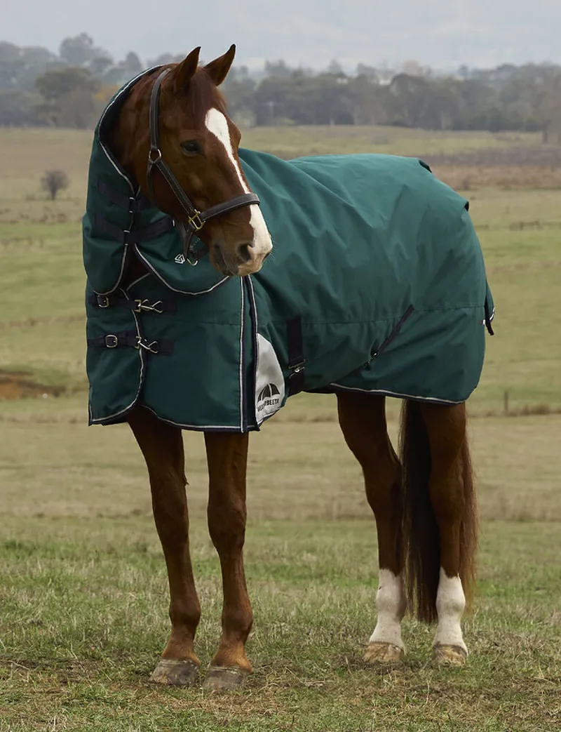Weatherbeeta ComFiTec Plus Dynamic Turnout Detach-A-Neck 100G - Forest green/Navy-10