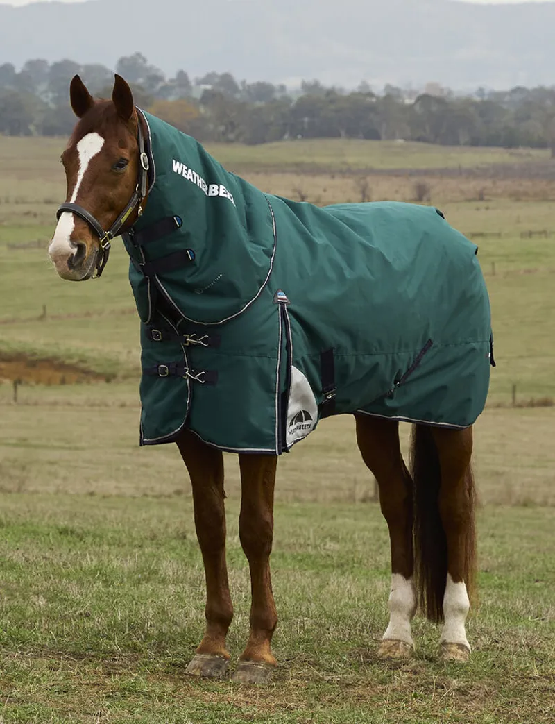 Weatherbeeta ComFiTec Plus Dynamic Turnout Detach-A-Neck 100G - Forest green/Navy