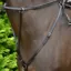 Hy Equestrian Hunting Breastplate - Black