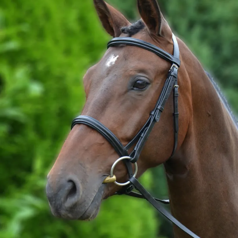 Hy Equestrian Padded Cavesson Bridle with Rubber Grip Reins-1