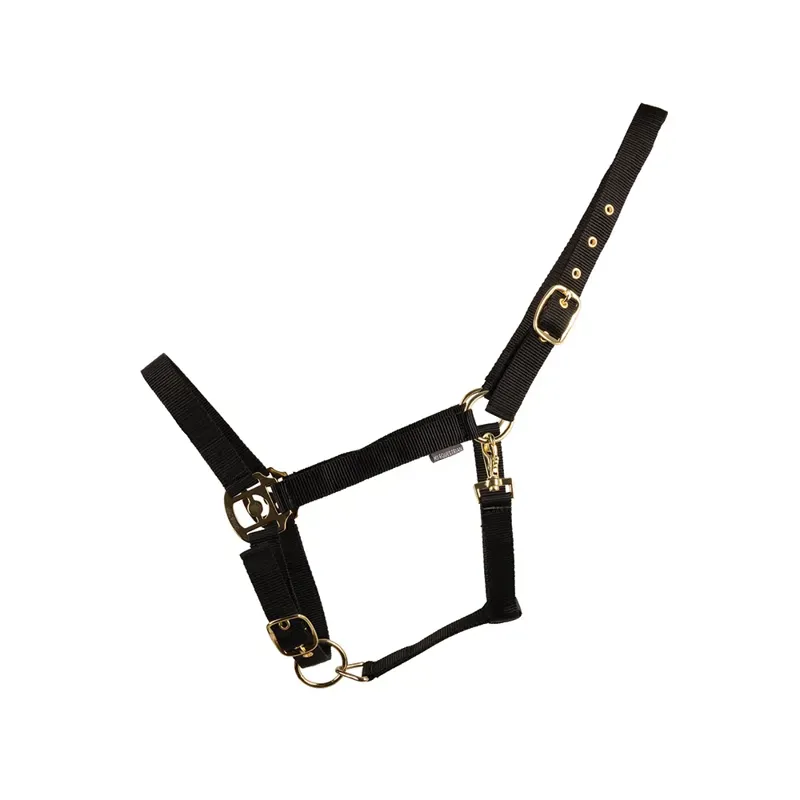 HyCONIC Head Collar - Black