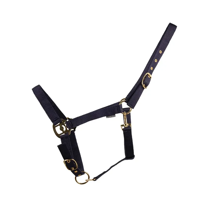 HyCONIC Head Collar - Navy