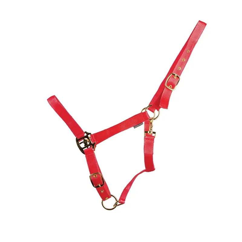 HyCONIC Head Collar - Red