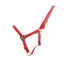 HyCONIC Head Collar - Red