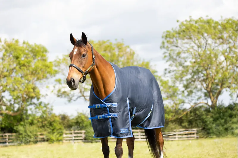 StormX Empra Reflect 0g Turnout Rug - Navy-2