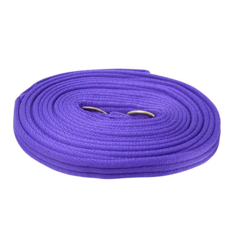 Hy Equestrian Soft Webbing Lunge Rein - Purple