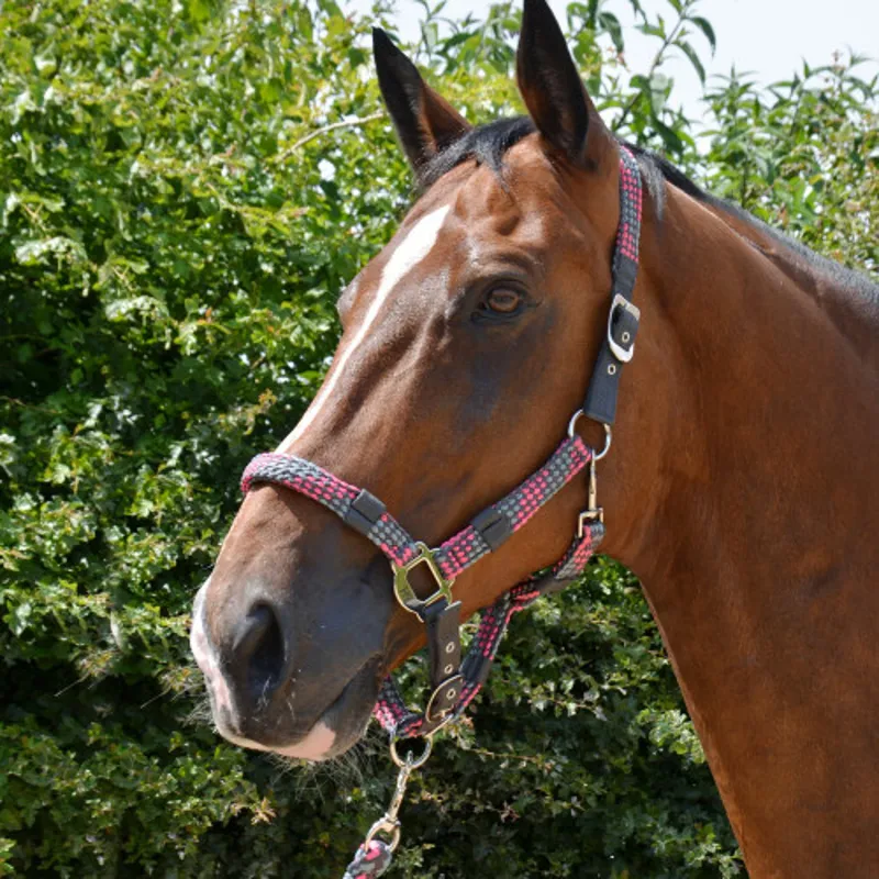 Hy Equestrian Multicolour Adjustable Head Collar and Lead Rope - Dark Grey/Grey/Pink-1