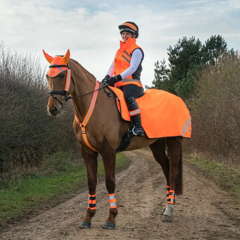 Hy Equestrian Reflector Ear Bonnet - Orange-1