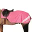 Hy Equestrian Reflector Exercise Sheet - Pink