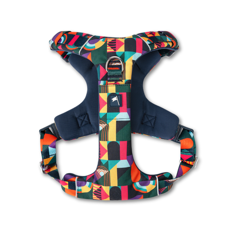 Twiggy Tags Adventure Harness 2.0  - Aurora-1