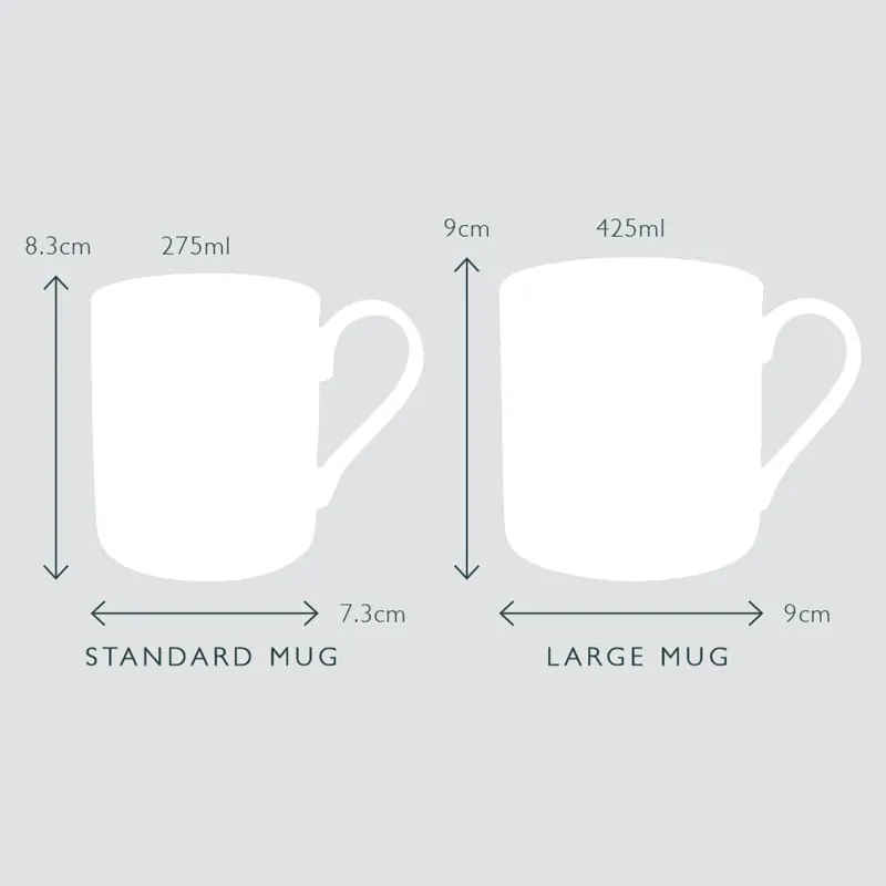 Sophie Allport Garden Birds Mug - Box Faded-1