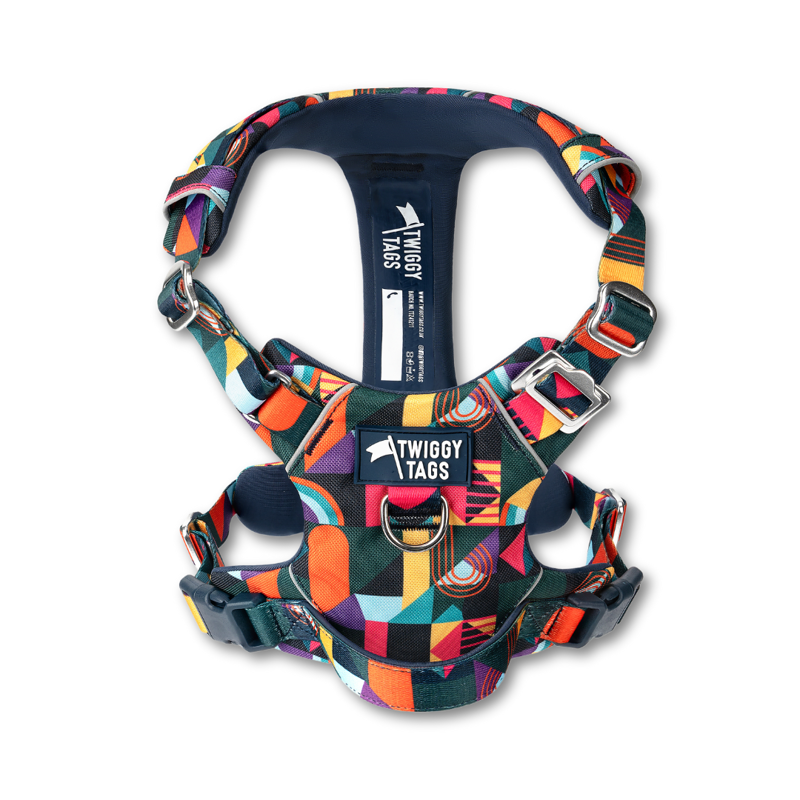 Twiggy Tags Adventure Harness 2.0  - Aurora-2