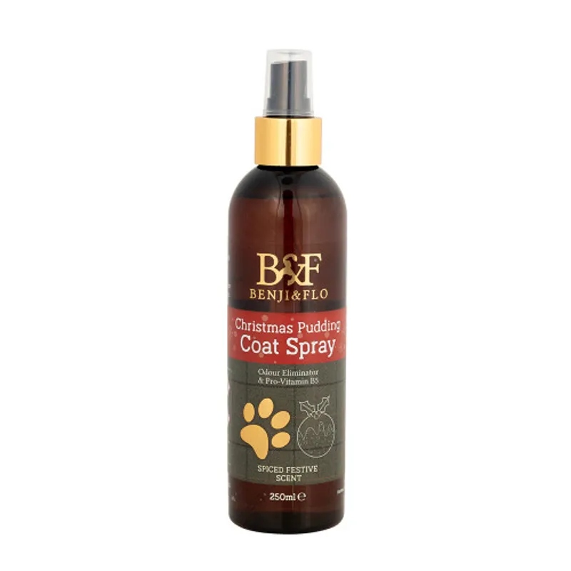 Benji and Flo Christmas Pudding Coat Spray 250ml