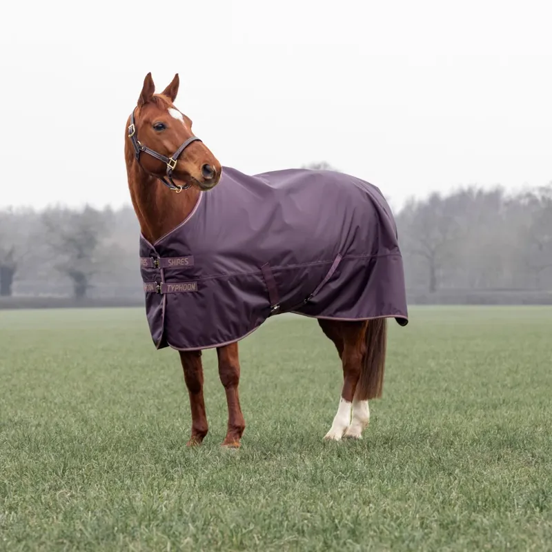 Shires Typhoon 100 Turnout Rug - Black Cherry-2