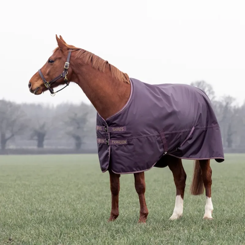 Shires Typhoon 100 Turnout Rug - Black Cherry-3