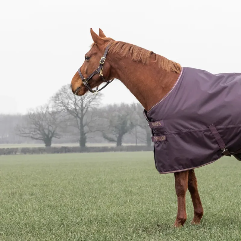 Shires Typhoon 100 Turnout Rug - Black Cherry-4