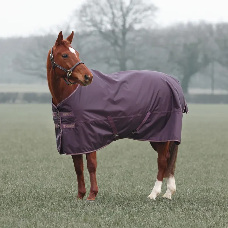 Shires Typhoon 100 Turnout Rug - Black Cherry-1