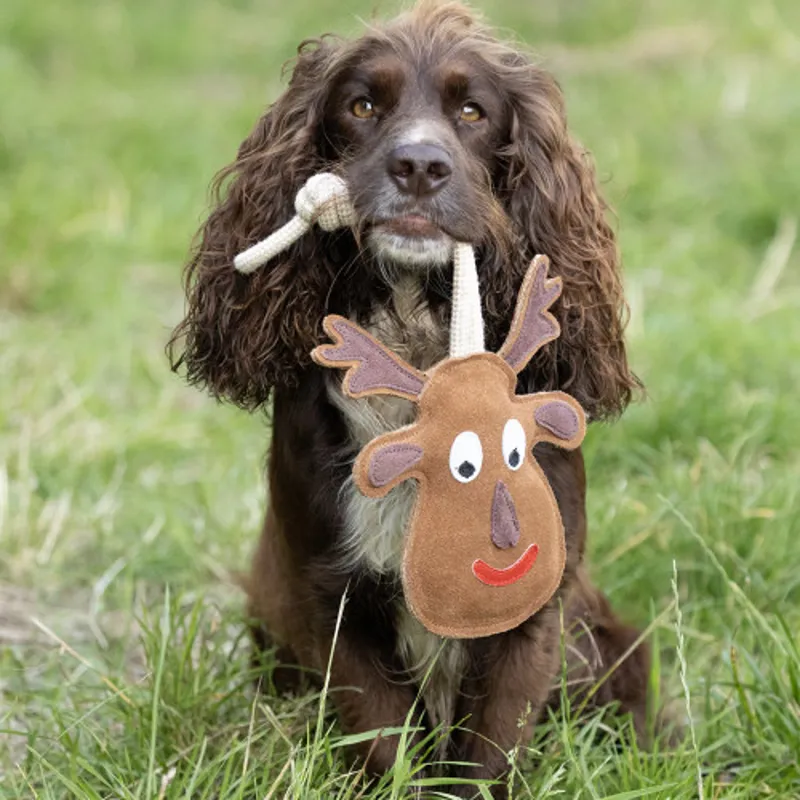 Benji and Flo Christmas Dog Toy - Reindeer-1