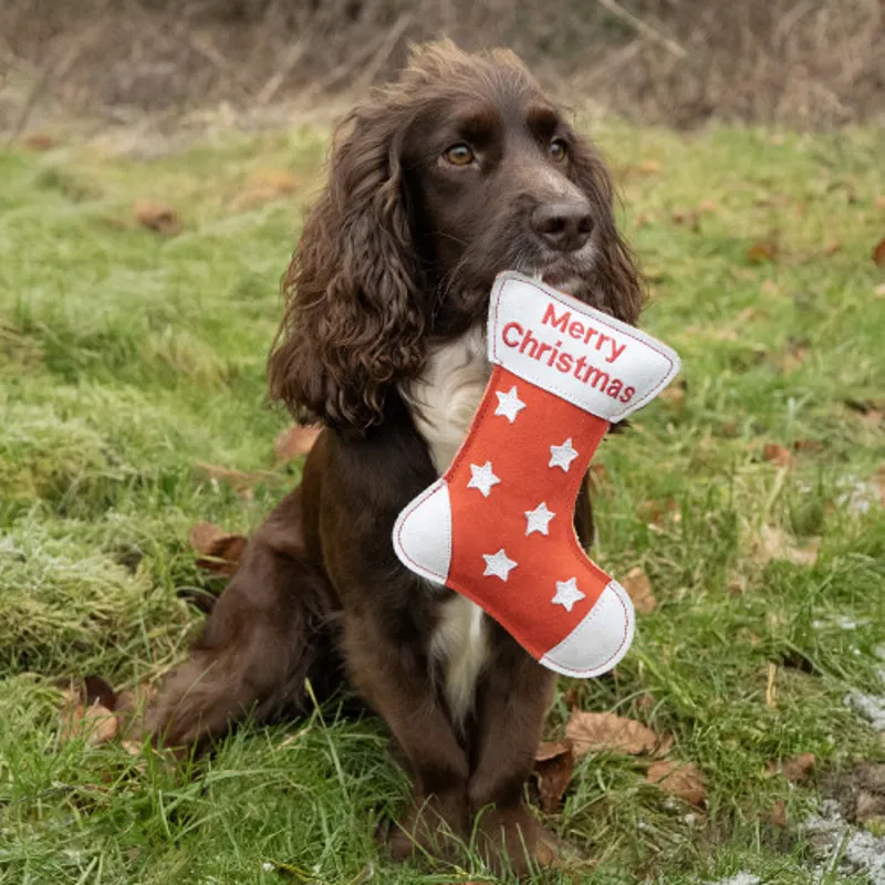 Benji and Flo Christmas Dog Toy - Christmas Stocking-1