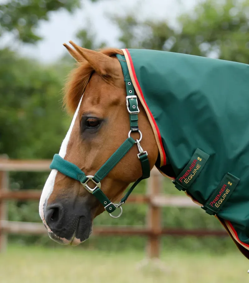 Premier Equine Buster Zero Turnout Rug with Classic Neck Cover - Green-1