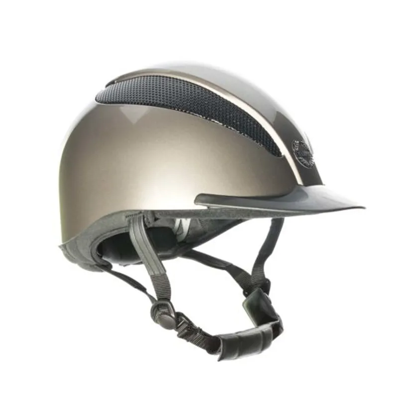 Champion Air-Tech Deluxe Helmet  Oyster Metallic-2