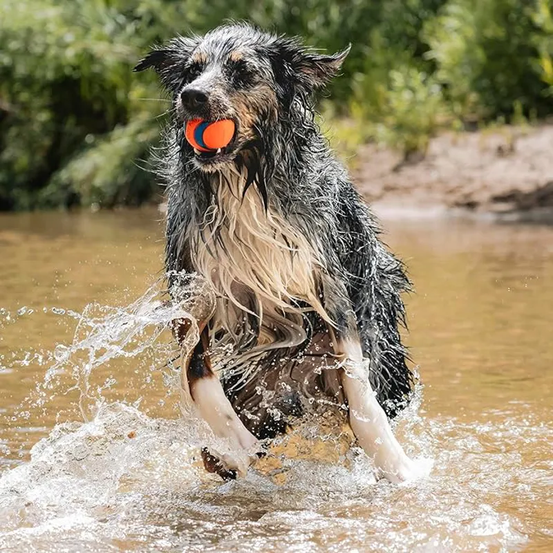 Chuckit Ultra Ball Large-1