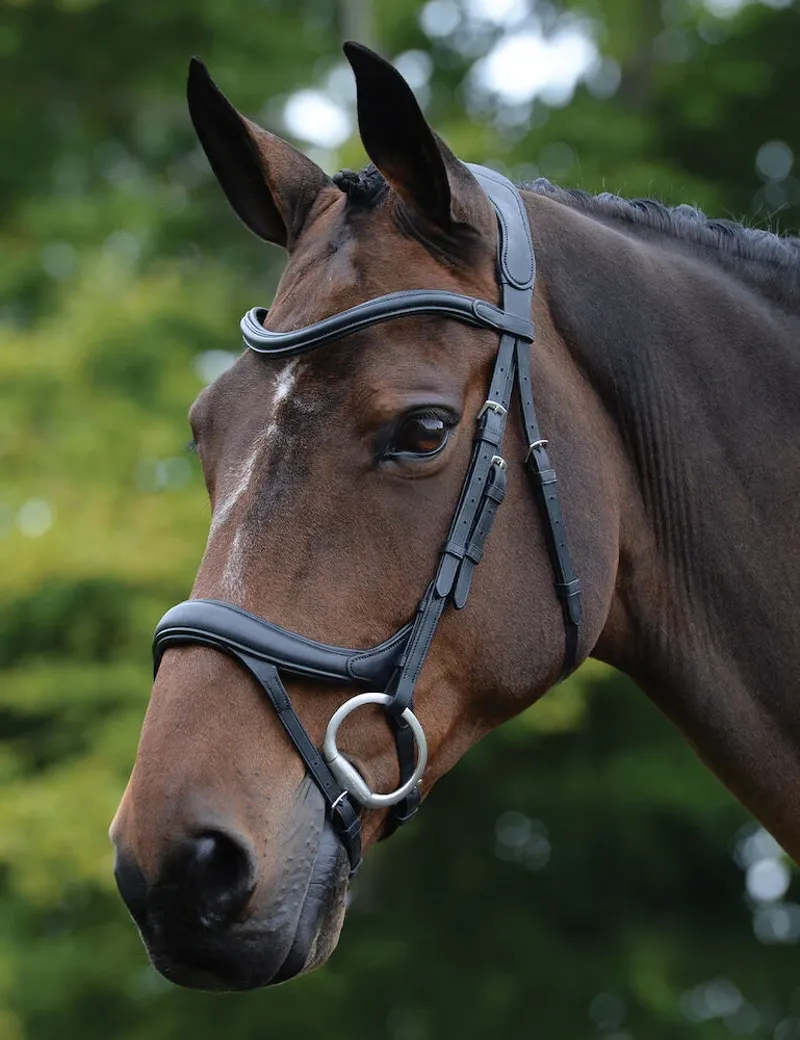 Collegiate ComFiTec Vogue Anatomical Bridle - Black