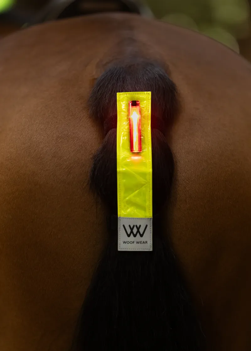Woof Wear LED Hi Vis Tail Light -  Yellow