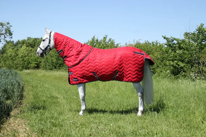 DefenceX System 200g Stable Rug with Detachable Neck - Dark Red/Navy
