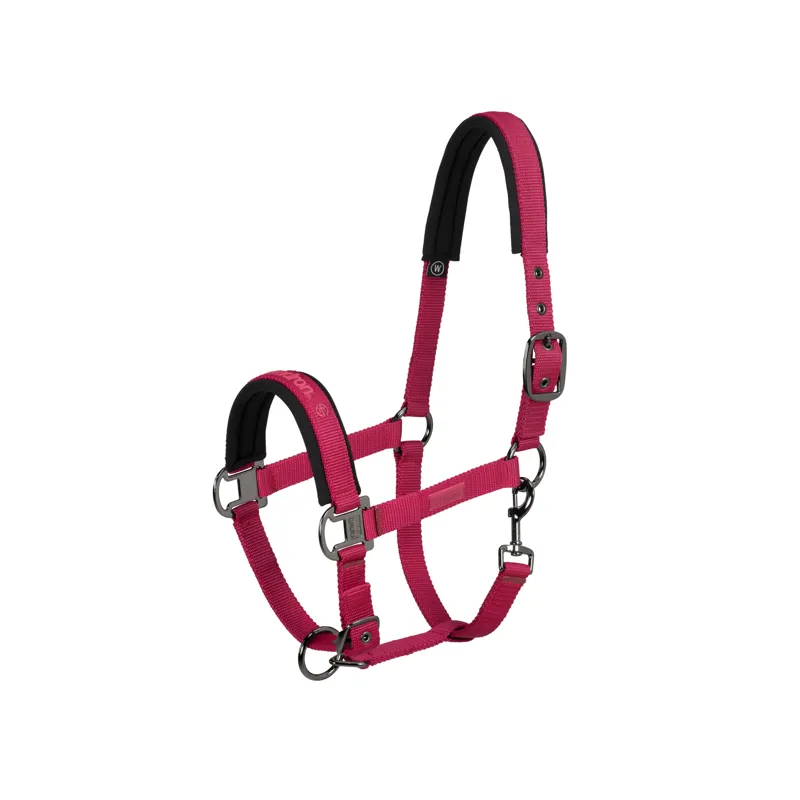 Eskadron Reflexx Pin Buckle Head Collar  Berry Fusion
