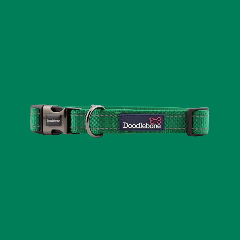 Doodlebone Padded Collar - Forest